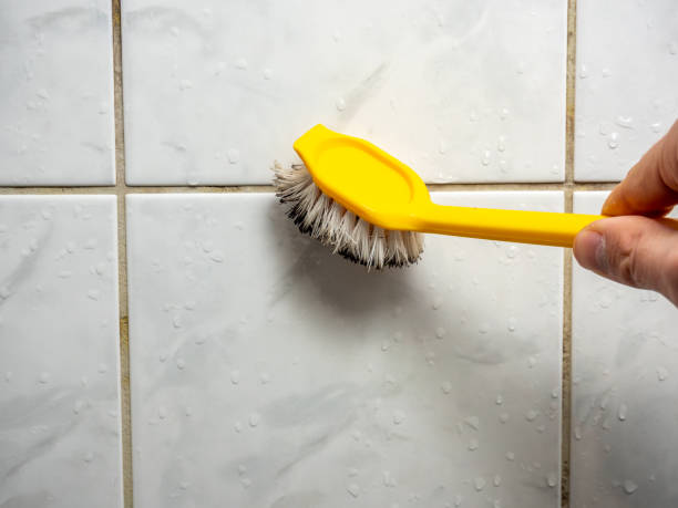 Best Attic Mold Removal  in Fort Belvoir, VA